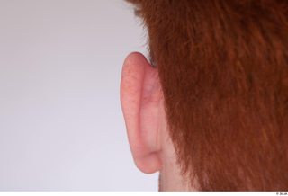 Fergal ear 0003.jpg